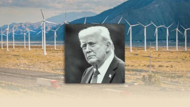 17 States Sue Trump to Keep Wind Energy Going