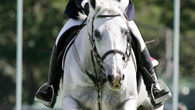 Mikaela Jaworski to oversee Brisbane 2032 Olympics planning for the IOC