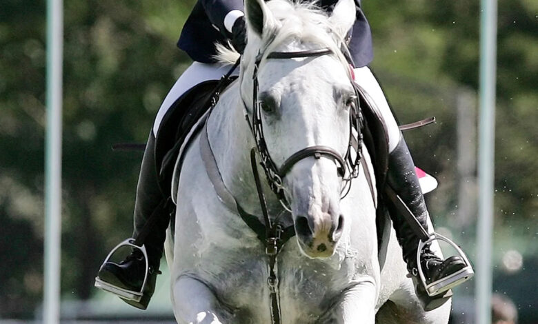 Mikaela Jaworski to oversee Brisbane 2032 Olympics planning for the IOC