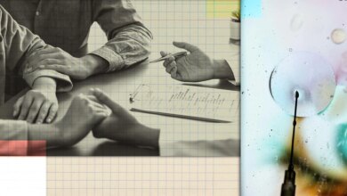 IVF Order: Trump Wants a Baby Boom—Will Businesses Benefit?