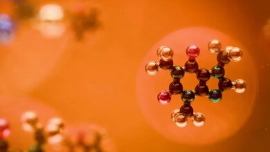 Who coined the term “nanotechnology” and in what year?