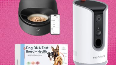 The 24 Best Amazon Pet Day Deals (2025)