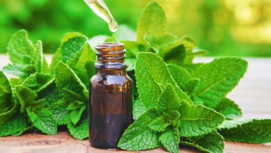 Does Peppermint Oil for Hair Really Work? Experts Weigh In