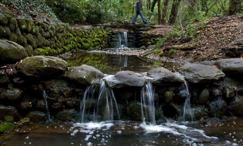 Here’s What a Microbiologist Wants You to Know About RFK Jr.’s Creek Swim