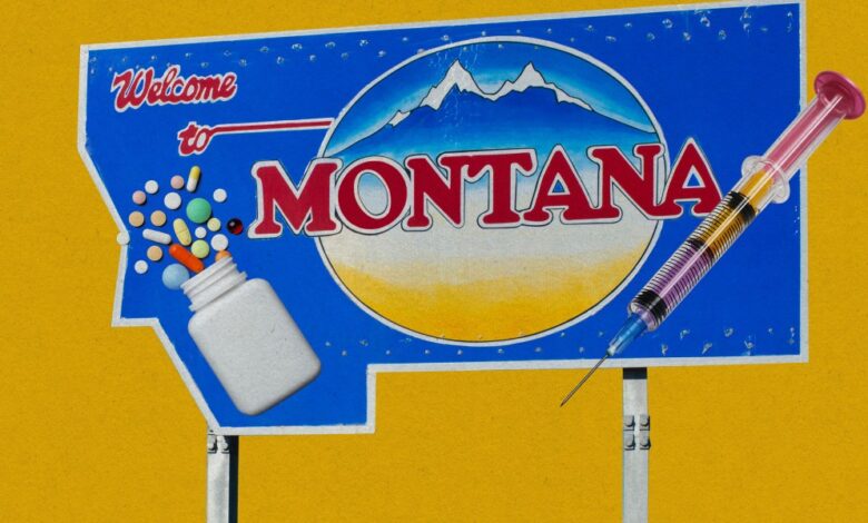 The Download: Montana’s experimental treatments, and Google DeepMind’s new AI agent