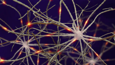 More Americans Have Dementia, Despite Fewer New Cases