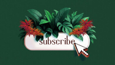 How publishers like Texas Monthly and Axios turn engagement data into revenue