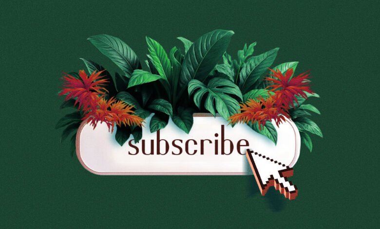 How publishers like Texas Monthly and Axios turn engagement data into revenue