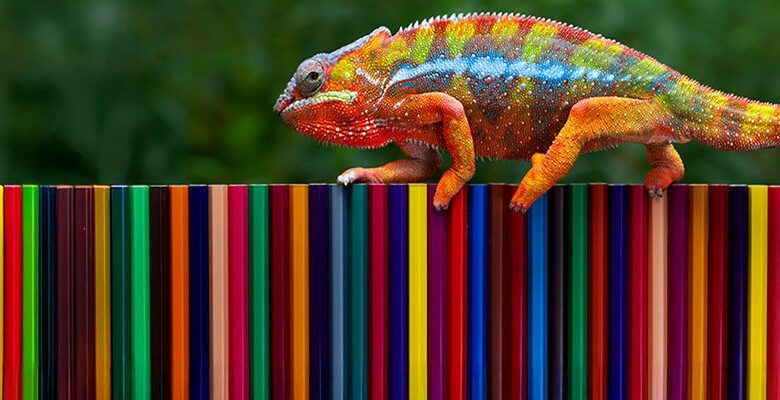 Microsoft raises posse to target dangerous Lumma malware