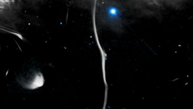 The Milky Way Has a Mysterious ‘Broken Bone’