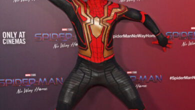 Man who stole 1,000 DVDs from employer strikes plea deal over movie leaks