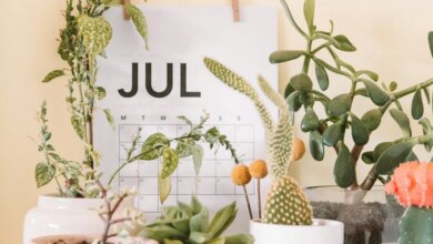 Fired US Copyright Office Chief Faces an Uphill Battle — Courts Proceedings Are Now Dragging Into July