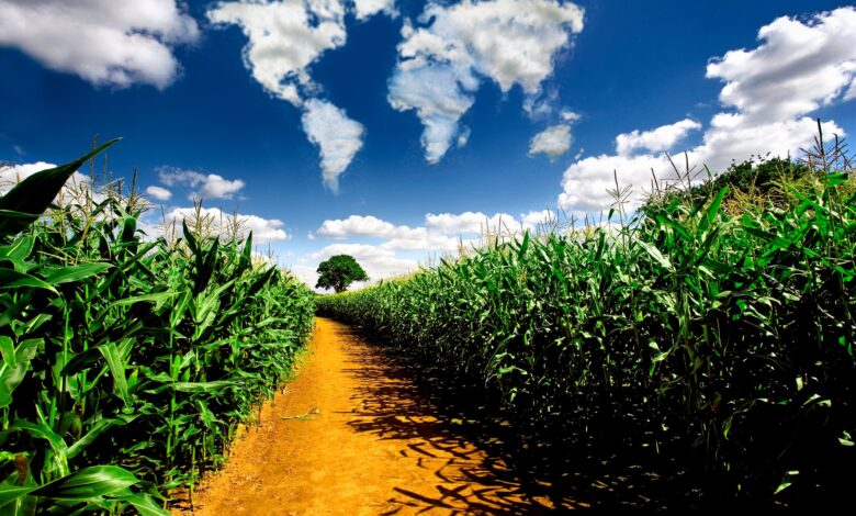 Food industry fights to cope with geopolitical volatility