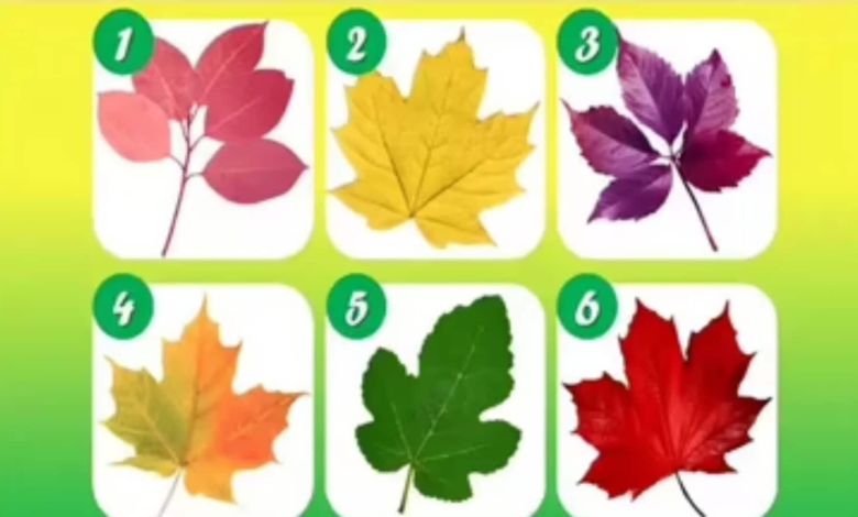 Personality test: Choose a leaf and discover why people count on you most