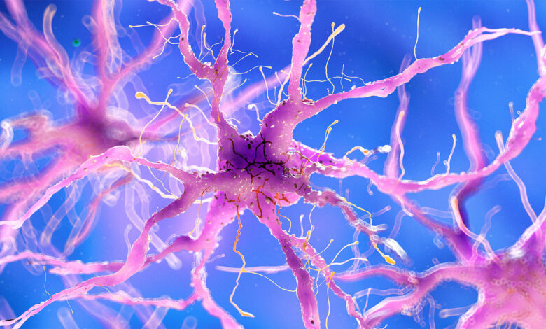 Many Doctors Would Consider Assisted Dying at Their End of Life