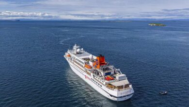 Take Your Child on a Real Arctic Science Adventure