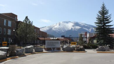 Listen: With Vital Health Research Defunded, Who’s Losing Out? 