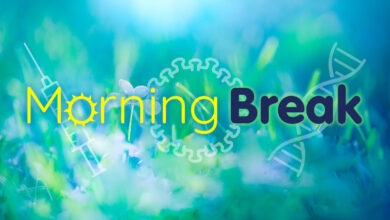 Aircraft Crashes Into Med School; CDC Vaccine Officials Purged; Brian Wilson Dies