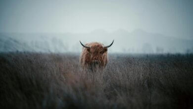 Bitcoin Will Rally as U.S. Growth Improves, Crypto Bills Progress: Coinbase Research