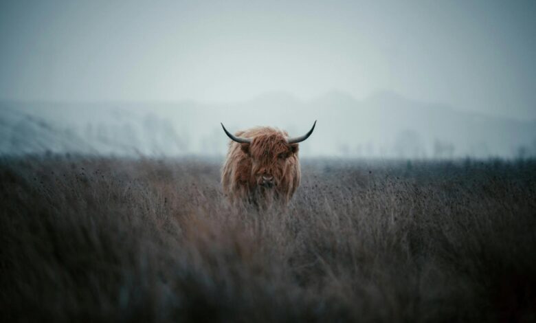 Bitcoin Will Rally as U.S. Growth Improves, Crypto Bills Progress: Coinbase Research