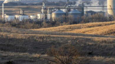 Biofuels policy has been a failure for the climate, new report claims