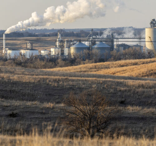 Biofuels policy has been a failure for the climate, new report claims