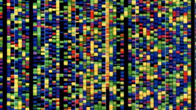 Google’s new AI will help researchers understand how our genes work
