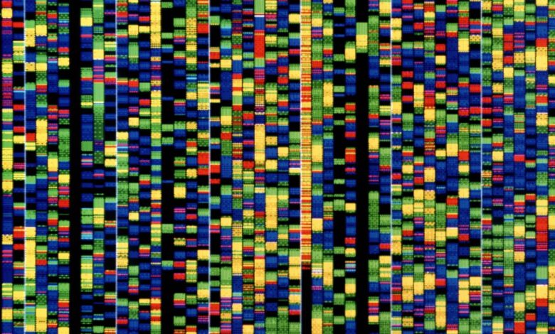 Google’s new AI will help researchers understand how our genes work