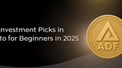 Top Investment Picks in Crypto for Beginners in 2025