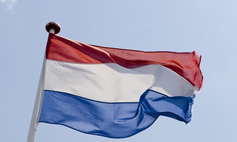 Lower deposit limits reducing Dutch gambling losses as illegal market search rises