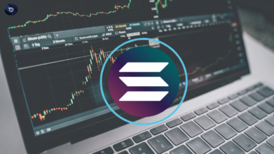 Solana’s Bold Reversal: Will the Market Surge Beyond $160?