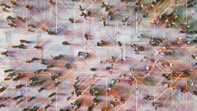 Producing tangible business benefits from modern iPaaS solutions