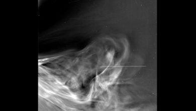 These are the closest-ever images of the sun from Parker Solar Probe’s historic flyby