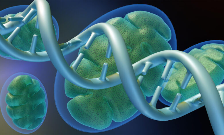 DNA From a Third Parent May Help Babies Avoid Inherited mtDNA Disease