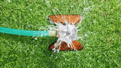 Yes, Adults Can Still Have Wet Dreams. Here’s Everything to Know About Nocturnal Emissions.