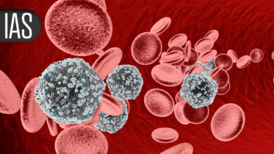 Intermittent ART Dosing Shows Similar Efficacy to Continuous ART
