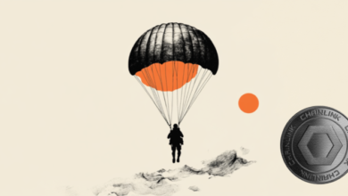 US Dollar steadies after pullback, on track for second weekly advance