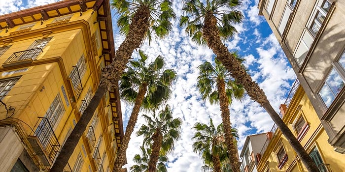 Betsson to Scale Its Capabilities with New Málaga Tech Hub