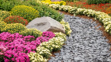 What Is a Rain Garden? (And More FAQs About This Eco-Trend)