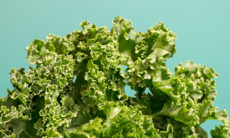 The Best Foods for Mental Health, According to Science