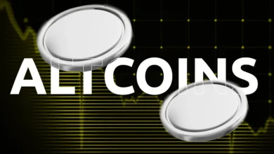 Top Two Low-Cap Altcoins To Buy in 2025