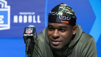 Vikings Sign Ex-Titans Safety