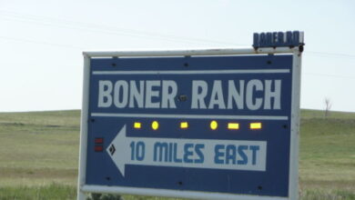 Voicemail Dump Truck 168 | Return to Bonertown.mp3