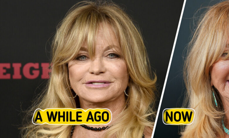 “What’s Going On With Her Mouth?” Goldie Hawn Shows Up on the Red Carpet, and Some Fans Spot a Change in Her Face