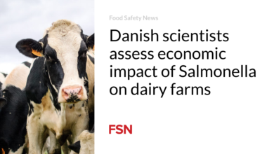 Danish scientists assess economic impact of Salmonella on dairy farms