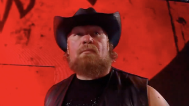 Brock Lesnar makes unexpected return to WWE at SummerSlam in first appearance in 2 years 