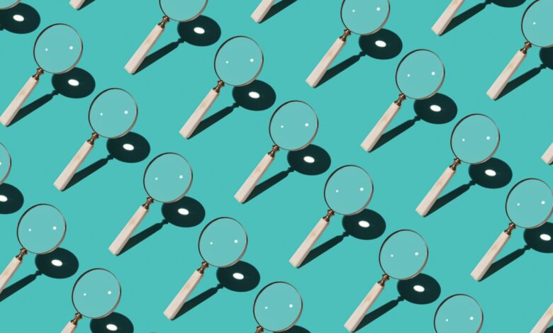 Qwant and Ecosia debut Staan, a European search index that aims to take on Big Tech