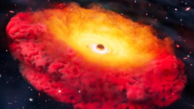A black hole over 1.3 trillion times more massive than the Earth: The oldest ever recorded