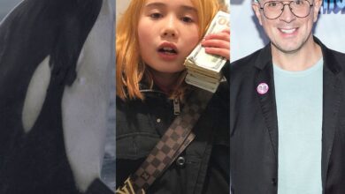 Jessica Radcliffe’s Orca Attack, Lil Tay’s IG Hack & More Death Hoaxes