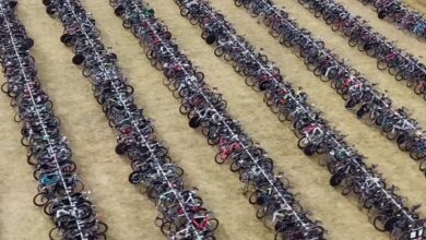 Thieves Steal Six Bikes out of TA on the Eve of Ironman Copenhagen: “This Should Never Have Happened”